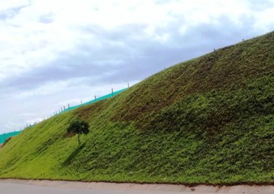 VIentos de llanadas (1)