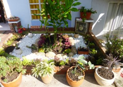 Jardines (15)